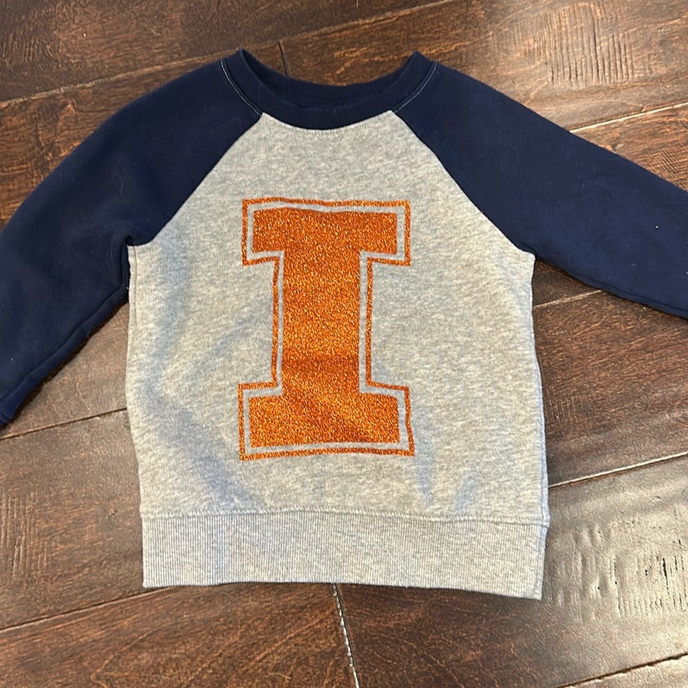 3/$15 Illini Sweatshirt